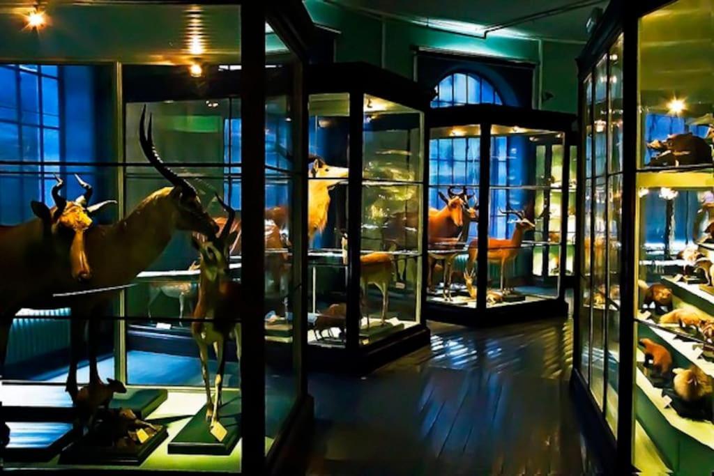 Spacious Historical Art Oasis In The City Center Bergen Exterior foto